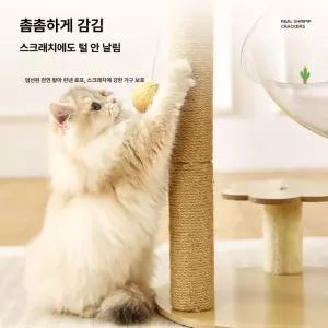 고양이 캡슐침대 아크릴 투명침대 포스트 캡슐 반구형