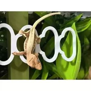 [기타브랜드]도마뱀 크레 집 사육장 꾸미기 백업 구조물 놀이터 파충류 크레스티드 크리스티드 게코 용품