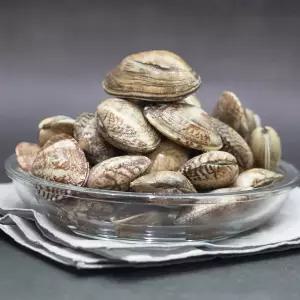 [롯데백화점]인정식탁 싱싱한 활 참바지락(대) 1kg