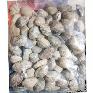 피바지락 600g 해물탕