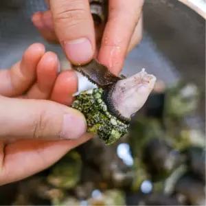 싱싱햇 통영 거제도 자연산 급냉 자숙 거북손 조개 1kg