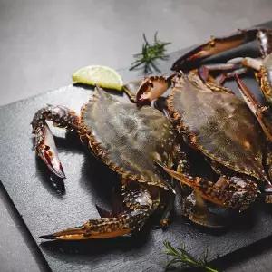 태안 가을 활 톱밥 꽃게 3kg (12미내외/톱밥포장/암수랜덤)