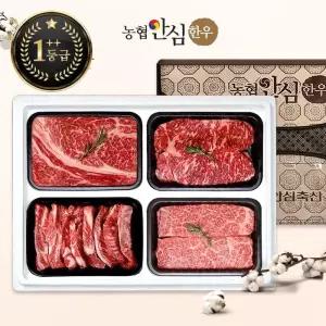 갤러리아 [농협안심한우] 1++등급 한우선물세트 구이1호  1.6kg (등/채/갈/특)