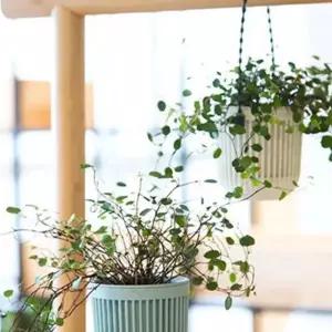 행잉 미니화분 걸이 2P 인테리어 벽걸이 화분 화병