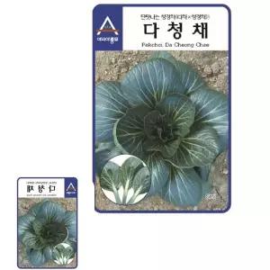 제이커 단맛나는 청경채 씨앗 종자 3g 종묘 씨 다청채