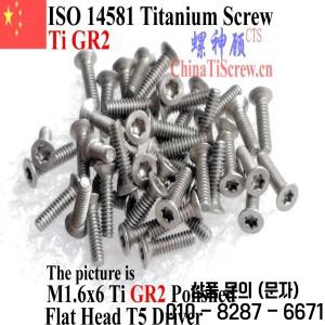 ISO 14581 M1.6 티타늄 나사 플랫 헤드 T5 드라이버 QCTi x 3 10 개