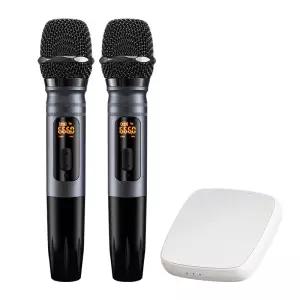 차량용 노래방 FM 무선 마이크 2개 사운드카드 세트 디지털 표시창 HM-W-57
