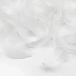 화이트 깃털 썬캐쳐 새깃털 장식 침실 거실 벽걸이 인테리어 데코 소품