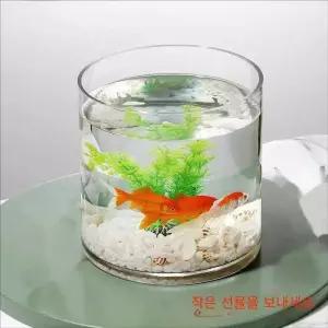 둥근 유리 어항 수조관 원통 투명 원형 관상어 금붕어 인테리어