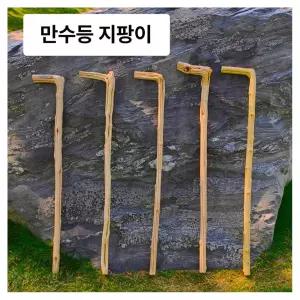 나무지팡이 효도지팡이 감태나무 장수 노인정 연수목 감태