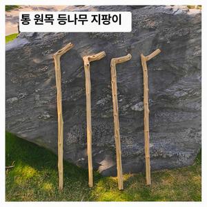 나무지팡이 효도지팡이 감태나무 노인정 장수 감태 연수목