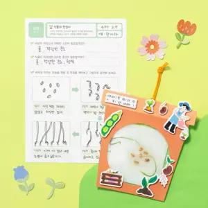 늘봄교실 흙없는 식물키우기 뿌리관찰 투명백 농부 관찰일지 만들기 창체 미술교육 중등
