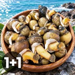 산해식탁 동해 바다 자연산 자숙 골뱅이 흑고동 400g 2개 (총 800g)