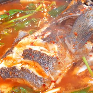 손질 우럭 탕거리 750g 남해안 조피볼락 우럭매운탕 탕거리손질