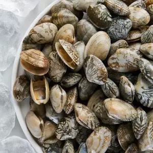 냉동 자숙 피바지락 500g 해감