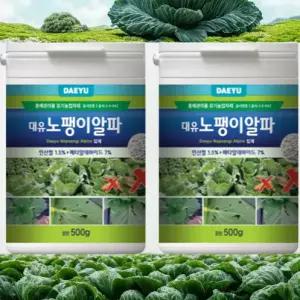 배추 달팽이 약 살충 퇴치제 500g 2개