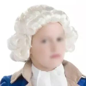 공연 성인가발 코스튬 판사 소품 모차르트 가발 베토벤가발 기어 빙하화이트