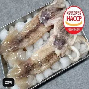 (실속)자연산 손질 통오징어 총 20마리(10팩)