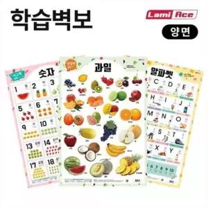 라미에이스 한글 양면학습벽보 학교 수업 공부 학용 준비 사무 오피스 문구 학생