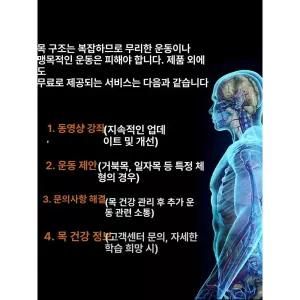 손목 고정 강아지 스트랩 탈부착밴드 반려동물 발목