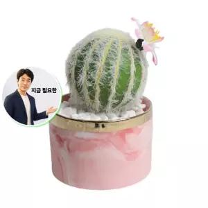 지금 필요한 장식소품 꽃선인장 미니화분 미니어처 인조 조화