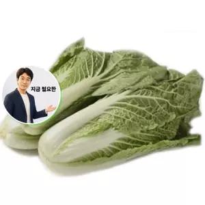 지금 필요한 채소 야채류 씨앗 2000립 엇갈이 종자 식물 품종 얼갈이 야채