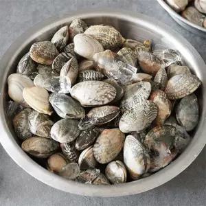고창 직송 국내산 바지락 1kg