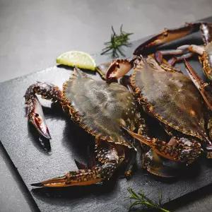 [롯데백화점]자연맛남 태안 가을 활 톱밥 꽃게 2kg (8미내외/톱밥포장/암수랜덤)