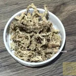 솔이월드 수태 (75G) /건조 압축 수태 난 재배용 텃밭용품 정원용품