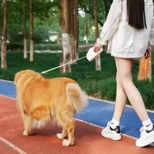 자동 외출용품 강아지 애견용품 목줄 리드줄 반려동물