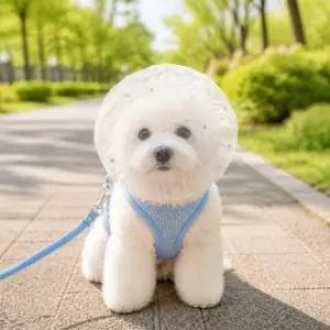 강아지 PE 산책 얼굴망 머리 메쉬 페이스 해충 커버 얼굴망사 외출 반려동물 덮개 방지