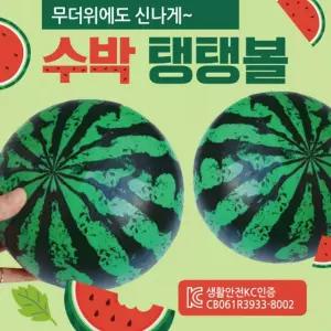 서치62 탱탱볼 비치볼 수박비치볼 비치볼/칼라비치볼/무지비치볼/삼색비치볼/돼지비치볼/물놀이공/물놀이용
