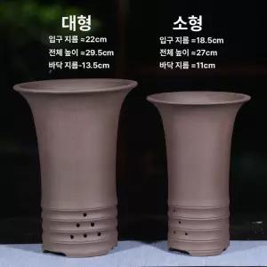 난초 동양난 화분 개업 복지금 풍란 자사 식물 철골