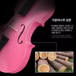 바이올린 컬러 연습용 현악기 악기 초보자용 입문자