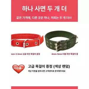 대형견 스테인리스 개줄 리드줄 스테인레스 대형 애견