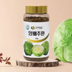 속편한 국산 양배추환 300G 잦은회식 과식