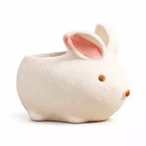 다육식물 화분 소형 토끼 모양 도자기