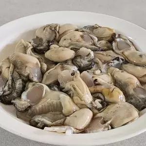 통영 햇 생굴 1kg