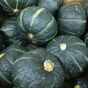 국산단호박 10키로 (5~6수) 호박 단호박 스윗트포테이토