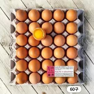 특란 60구 (3600g) 농장직송 신선한 안심 달걀