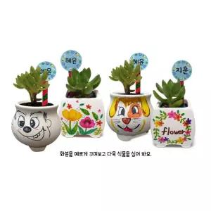 어린이식물DIY키트 다육식물 화분꾸미기세트(보호케이스포함) 아이들 예쁜