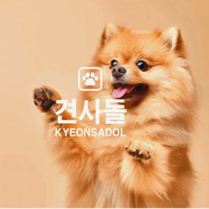 반려견 영양제 견사돌 유니버스 7종 기능성 올인원 12g*30포 pet supplement