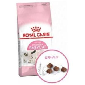 키튼 고양이 사료 2kg 수유 아기 고양이 사료 발육 자묘