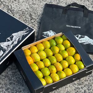 하우스감귤 선물세트 5kg 로얄과