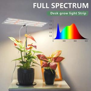 책상 식물 성장 램프 홈 조정 가능한 높이 양자 보드 Phytolamp Led 성장 빛 야채 정원 꽃 Growbox