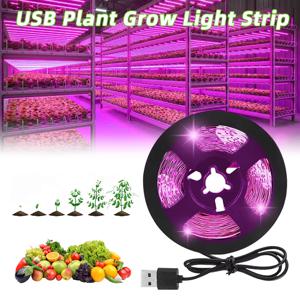 방수 풀 스펙트럼 LED 라이트 스트립 식물 성장용 5v USB 전원 1-3M 길이 꽃 모종 온실 수경재배에 적합