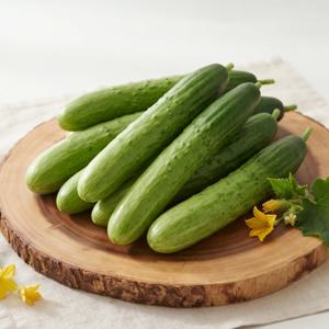 국내산 오이 수분가득 아삭 백다다기오이 취청오이 1kg 외