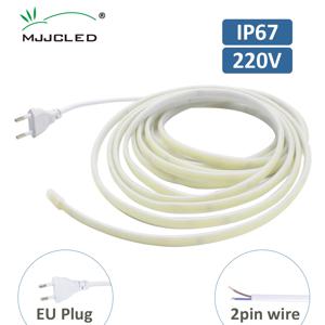 AC220V COB LED 스트립 라이트 IP67 방수 유연 리본 2핀 와이어/EU 플러그 테이프 램프 3000K/4000K/6000K 실외 선형 조명