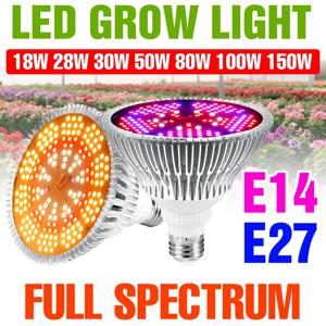 150W 풀 스펙트럼 LED 성장등 E27/E14 실내 다육식물 조명 220V 온실 채소 과일 재배 조명
