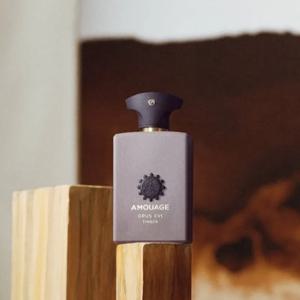 아무아쥬 맨즈 오 드 퍼퓸 100ml 롱래스팅 우아하고 여성스러운 향 따뜻하고 독특한 향기 오퍼스 XVI 팀버 더 라이브러리 컬렉션